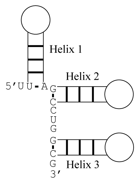 exterior loop example structure