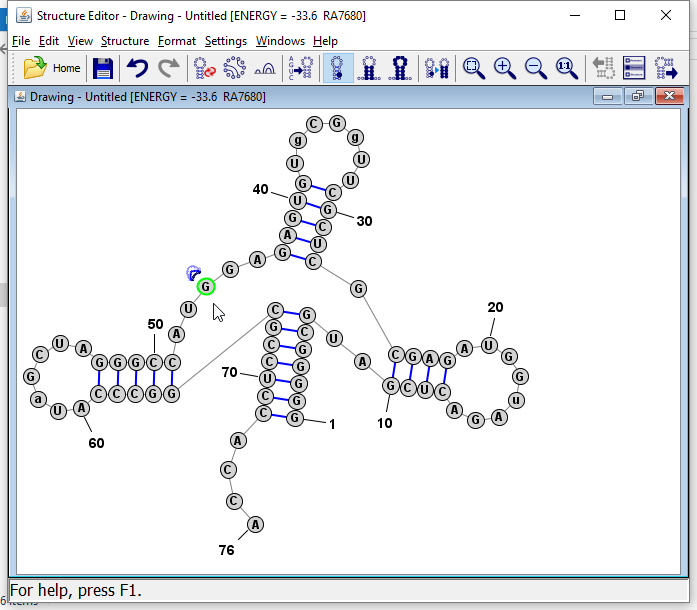 Select a nucleotide in the multibranch loop